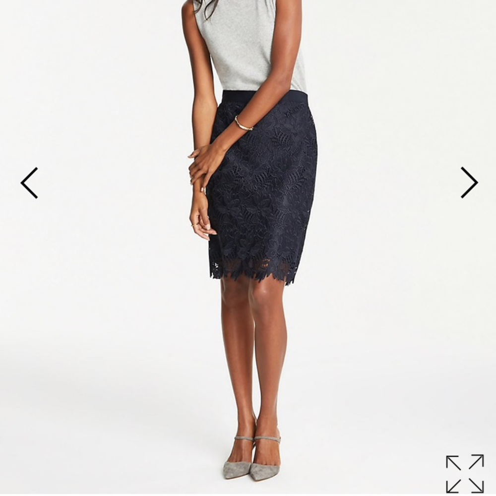 Ann Taylor Petite Lace Pencil Skirt
